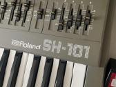 Roland Sh-101 - nuotraukos Nr. 4