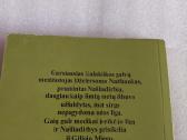 Pasveikęs našliadirbys - nuotraukos Nr. 3