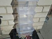 Plastikinės dėžutės