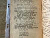 Šeimyniškiems vakarėliams pramogėlė 1920 - nuotraukos Nr. 4