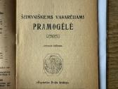 Šeimyniškiems vakarėliams pramogėlė 1920 - nuotraukos Nr. 2