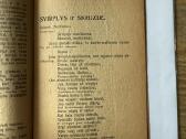 Šeimyniškiems vakarėliams pramogėlė 1920 - nuotraukos Nr. 4