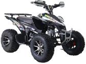 Naujiena! 49-1000cc keturračiai Klaipėda - nuotraukos Nr. 15