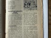 Žvaigždutė tarpukario laikraštis vaikams 1938 - nuotraukos Nr. 4