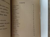 Su tėvelio kepure 1938 m - nuotraukos Nr. 7