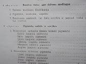 Statybinio dažymo vadovas - nuotraukos Nr. 3