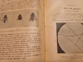 Parduodu knyga,apie bites,1927m.w wilnie - nuotraukos Nr. 8