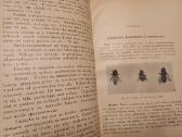 Parduodu knyga,apie bites,1927m.w wilnie - nuotraukos Nr. 36