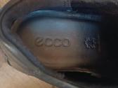 Ecco - nuotraukos Nr. 9