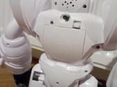 Šaudantis programuojamas robotas Robo Blast - nuotraukos Nr. 5