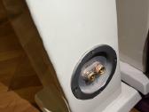 Monitor Audio Radius 270 baltos kolonėlės (poroje) - nuotraukos Nr. 2