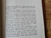 Dailioji keramika (Vaclovas Miknevičius) - nuotraukos Nr. 5