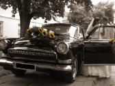 Vestuviu automobilio volga nuoma - nuotraukos Nr. 3