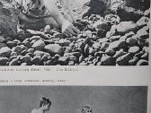 Lietuvos kino istorijos apybraiža (1919-1970) - nuotraukos Nr. 4