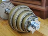 Hantelis 13 kg