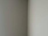 Dažytojas Vilnius - nuotraukos Nr. 4
