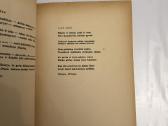 Žvaigždžių jieškojimas. Petras Pilka. 1950 - nuotraukos Nr. 6