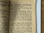 Liurdo Bernadeta 1928m. - nuotraukos Nr. 4