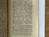Katalikų Bažnyčia ir demokratizmas 1916 m. - nuotraukos Nr. 6