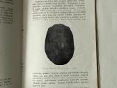 Akmens periodo žmogus Žemaitijoj ir Suvalkijo 1931 - nuotraukos Nr. 5