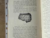 Akmens periodo žmogus Žemaitijoj ir Suvalkijo 1931 - nuotraukos Nr. 7