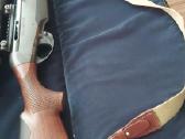 Benelli argo E pro 308win.