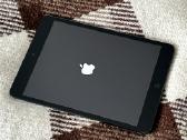 Apple iPad mini 64 GB Lte 7,9 pirma karta. - nuotraukos Nr. 7