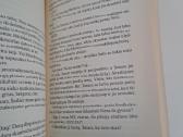 Frederic Beigbeder romanas 14,99€ - nuotraukos Nr. 2
