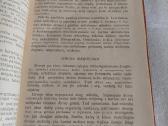 Mikrobiologija - nuotraukos Nr. 3