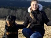 Planuojama Vada - Kilmingi Rotveileriu Suniukai - nuotraukos Nr. 7