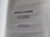 Minčių audros - nuotraukos Nr. 2