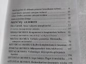 Minčių audros - nuotraukos Nr. 3