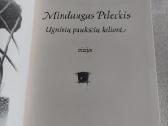 Ugninių paukščių kelionė - nuotraukos Nr. 2
