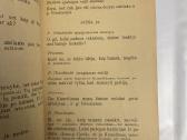 Pagavo! 2 veiksmų komedija 1908 - nuotraukos Nr. 5