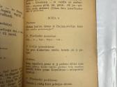 Pagavo! 2 veiksmų komedija 1908 - nuotraukos Nr. 5