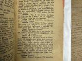Leitenantas Antanas 1935 m. - nuotraukos Nr. 4
