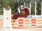 Sport pony - nuotraukos Nr. 2