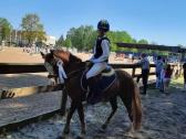 Sport pony - nuotraukos Nr. 3