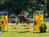 Sport pony - nuotraukos Nr. 4
