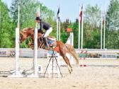 Sport pony