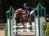 Sport pony - nuotraukos Nr. 7