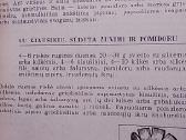 Sumuštiniai - nuotraukos Nr. 2