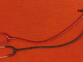 Littmann stetoskopai. - nuotraukos Nr. 3