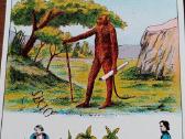 Lenormand kortos - nuotraukos Nr. 24
