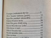 Knyga "Mano berniukai" - nuotraukos Nr. 5