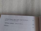 Dar tik pažvelgiam pro Atminimų Gryčios langą. - nuotraukos Nr. 5