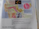 Biologija 10 klasė - nuotraukos Nr. 5