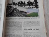Gaisrai ir potvyniai - nuotraukos Nr. 6