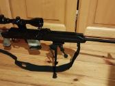 Saiga-1