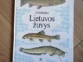 Daug knygu vaikams, paaugliams, jaunimui ir ne tik - nuotraukos Nr. 25
